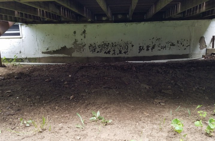underdeck cleanout