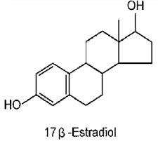 estrogen  molecule