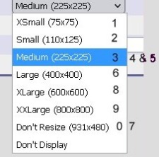aspImageHandler